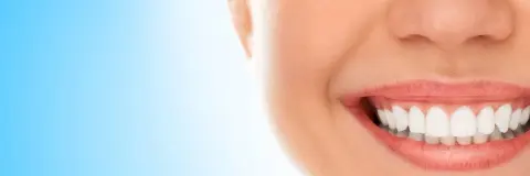 Foto di Bf Dental Srl