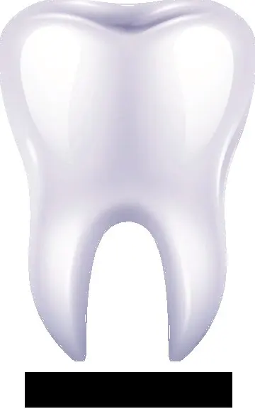 Foto di Dental Family Galleria Cantoni Srl
