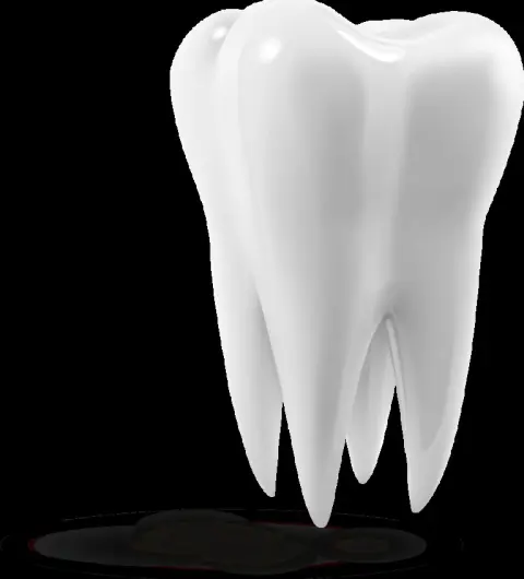 Foto di Adm - Assistenza Dentale Magentina