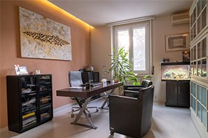 Spazi dello studio